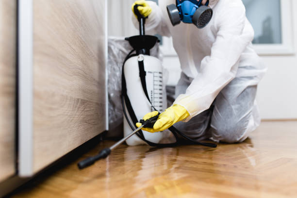 Professional Pest Control in Woodmore, MD