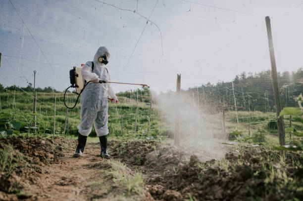 Best Local Pest Control Services  in Woodmore, MD