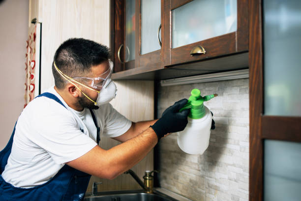 Best Exterminator Services  in Woodmore, MD
