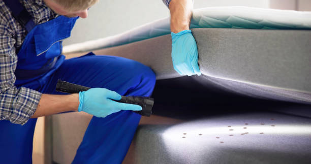 Best Affordable Pest Control Services  in Woodmore, MD