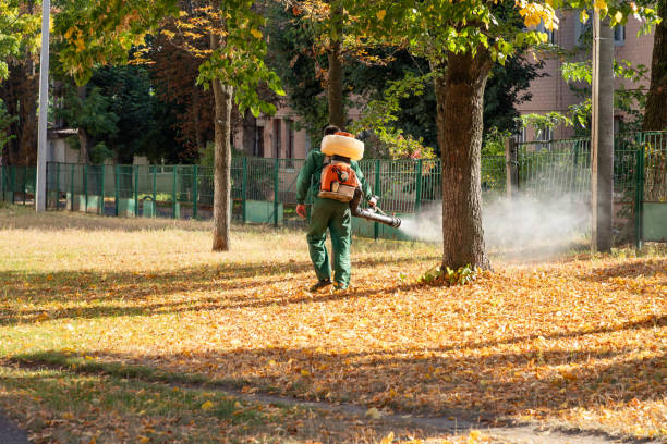 Bird Control in Woodmore, MD