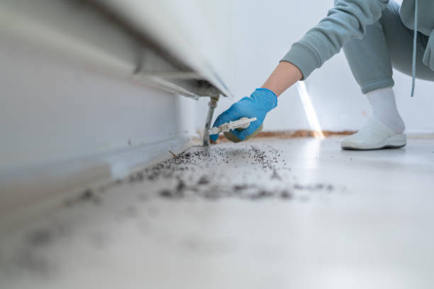 Best Insect Control  in Woodmore, MD
